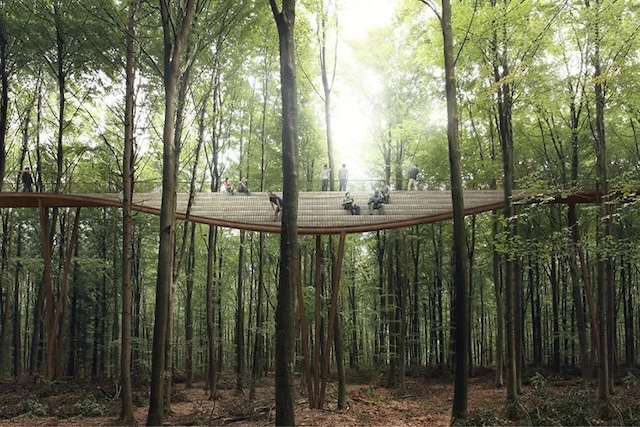 At every level, the tower offers panoramic views of the dense forest canopy.