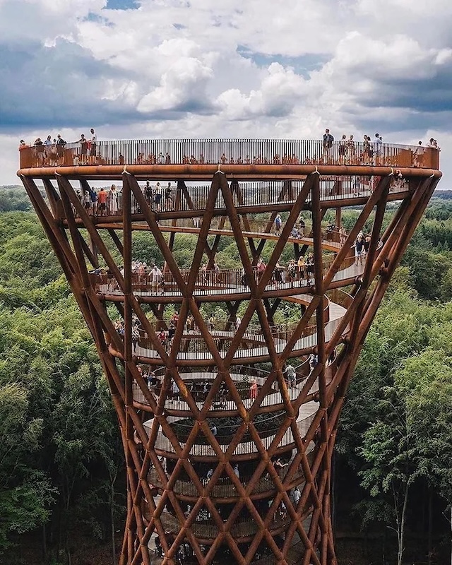 Visitors ascend the spiraling walkway, offering unique views of the lush surrounding forest.