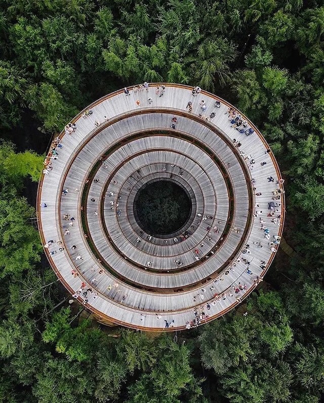 The stunning Forest Tower rises gracefully above the treetops in Denmark’s Gisselfeld Klosters Forest.