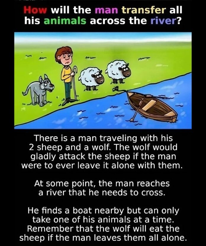 How Will the Man Transfer All His Animals Across the River?