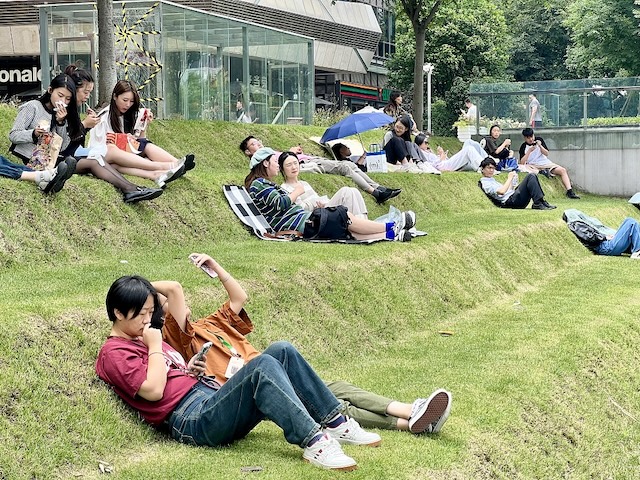 Tiered Lawn in Shanghai