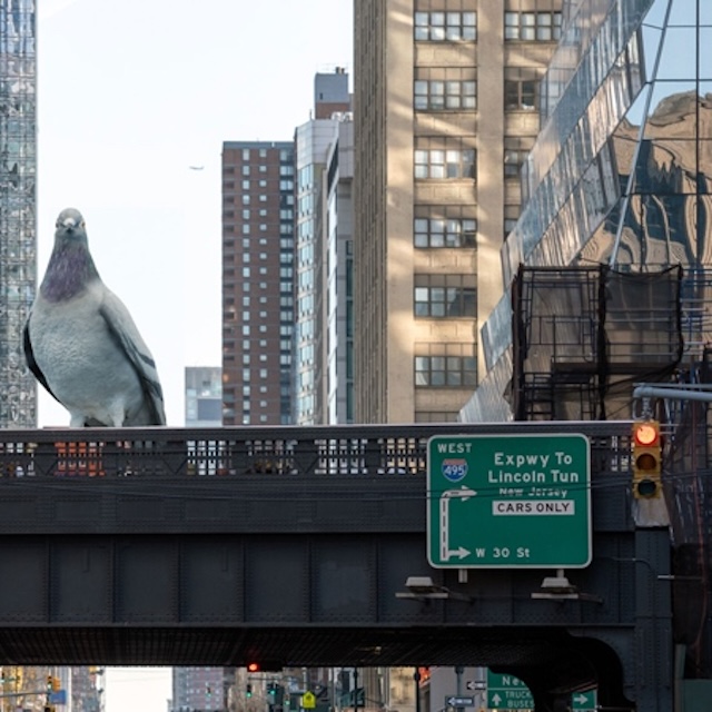 ‘Dinosaur’ to Stay on the High Line for 18 Months