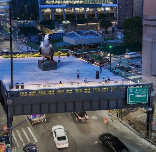 Pigeons as Immigrants: A Reflection on New York’s Melting P2ot