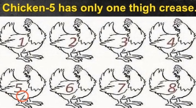 Only One Thigh Crease on Chicken 5