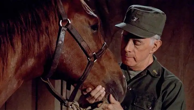 Harry Morgan and His Beloved Horse on MASH