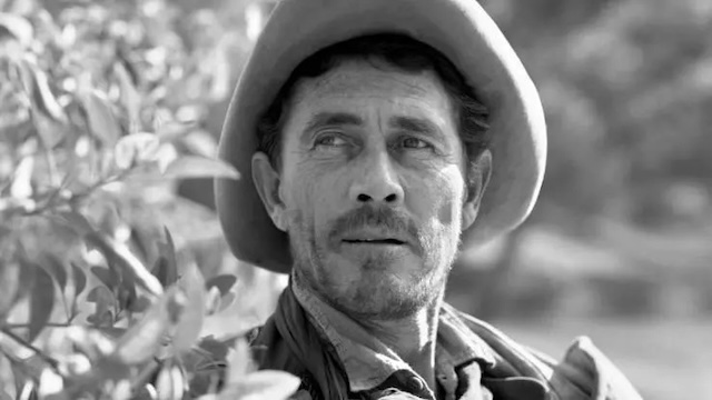 Ken Curtis as Festus Haggen. His portrayal of the lovable deputy became an essential part of Gunsmoke’s enduring charm