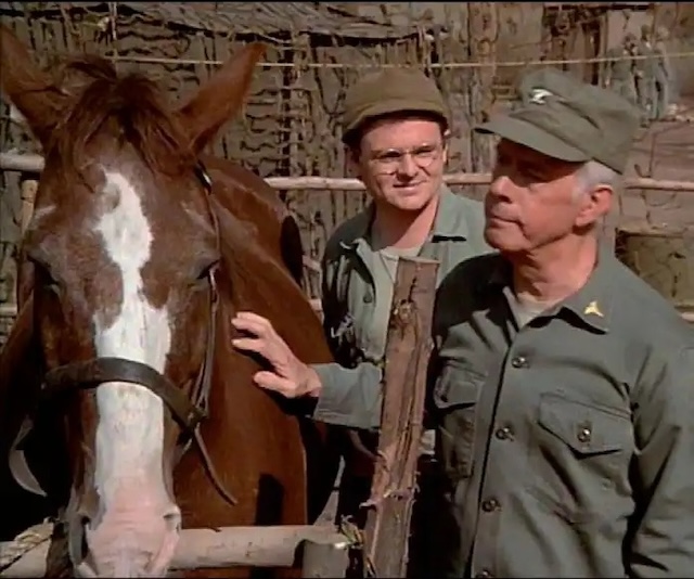 Colonel Potter gently strokes his horse, Sophie, in an emotional farewell scene from M*A*S*H, where in reality, this horse was one of Morgan’s own quarter horses