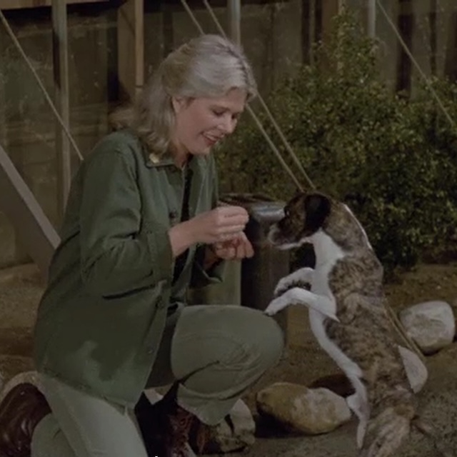 In a heartwarming scene, Margaret cares for a stray dog, displaying her compassion even in the harsh environment of a military camp