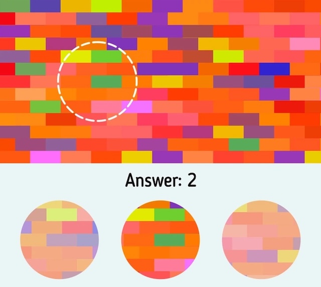 Answer: Option 2. The colors in the missing section align perfectly with option 2! Did you get it right?