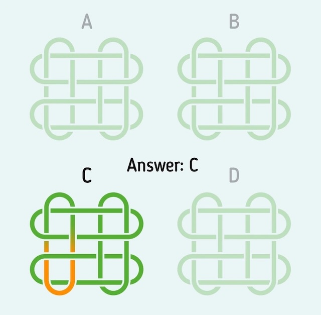 Answer: C. The pattern in C is unique because of its distinctive orange-bordered loop. Did you manage to find it?