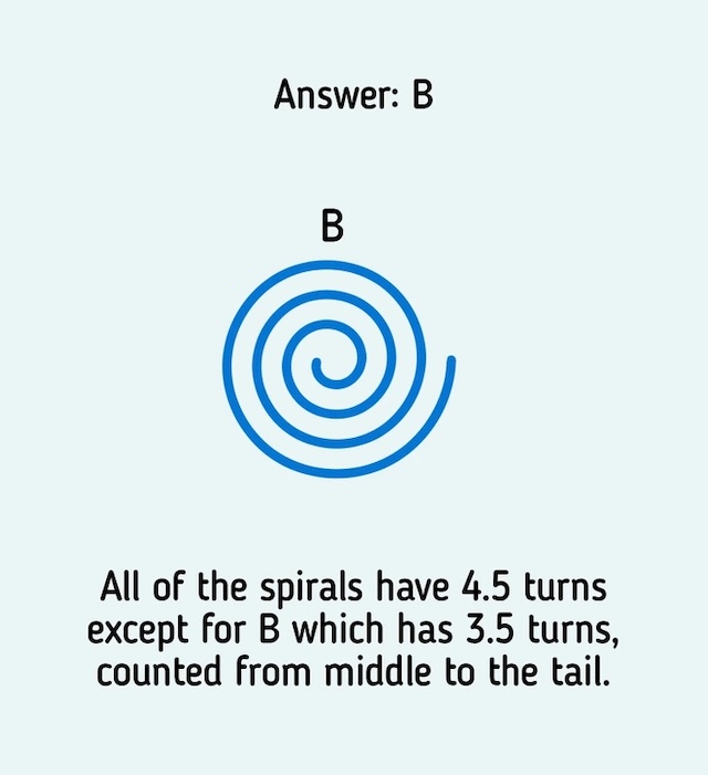 The odd one out is Spiral B! While all the other spirals have 4.5 turns, B has only 3.5 turns from the center to the tail. Did you get it right?