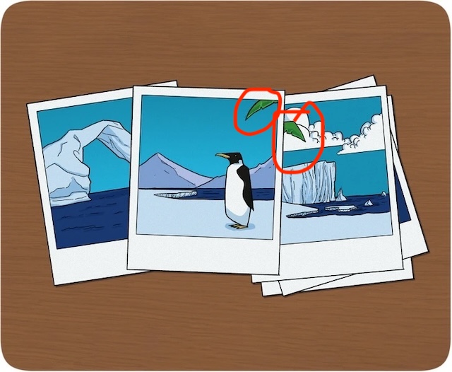 Answer: The presence of palm tree leaves in the pictures, which do not belong in Antarctica, reveals Tim's lie