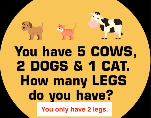 The answer revealed: You only have 2 legs. The animals were just a clever distraction!