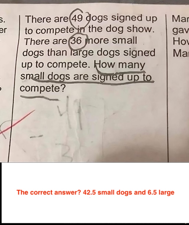 The answer reveals a tricky solution: 42.5 small dogs and 6.5 large dogs.