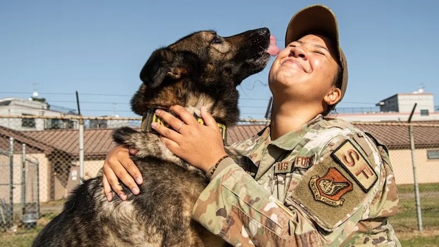 Moments of joy and affection between handler and K9. More than a partner, always a loyal friend