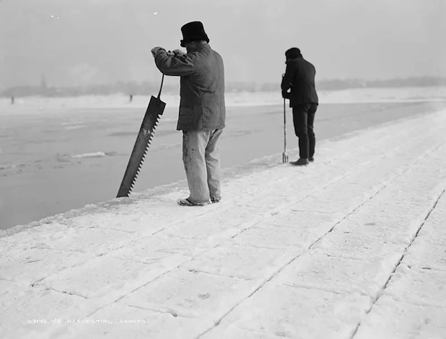  Workers saw through thick sheets of ice, preparing blocks for delivery. Do you remember how essential this was before modern refrigeration?