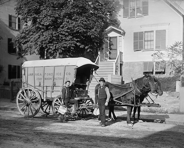 A rare glimpse into the process of storing large blocks of harvested ice, a backbreaking but vital job in the early 1900s