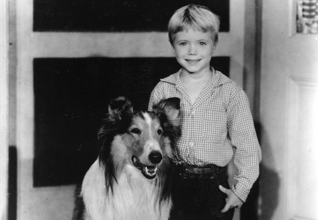 A cheerful Timmy Martin (Jon Provost) posing with Lassie against a picturesque backdrop. Their loyalty to each other made the show a heartwarming staple of American TV