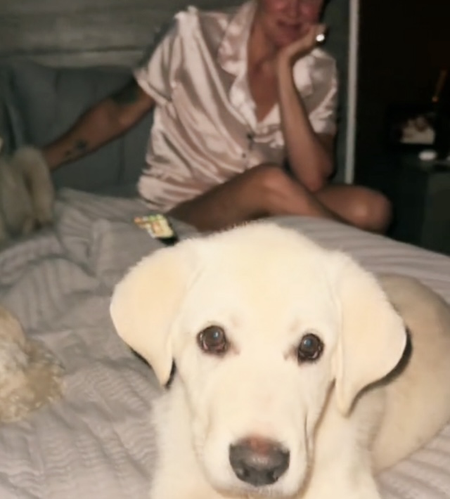 A cozy scene as a loyal dog cuddles up on the bed with the farm owner, waiting out the storm in safety