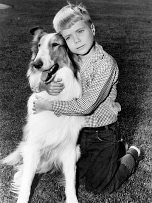 Timmy giving Lassie a warm embrace—an iconic moment that perfectly captures their on-screen bond and the deep connection between the boy and his loyal canine companion