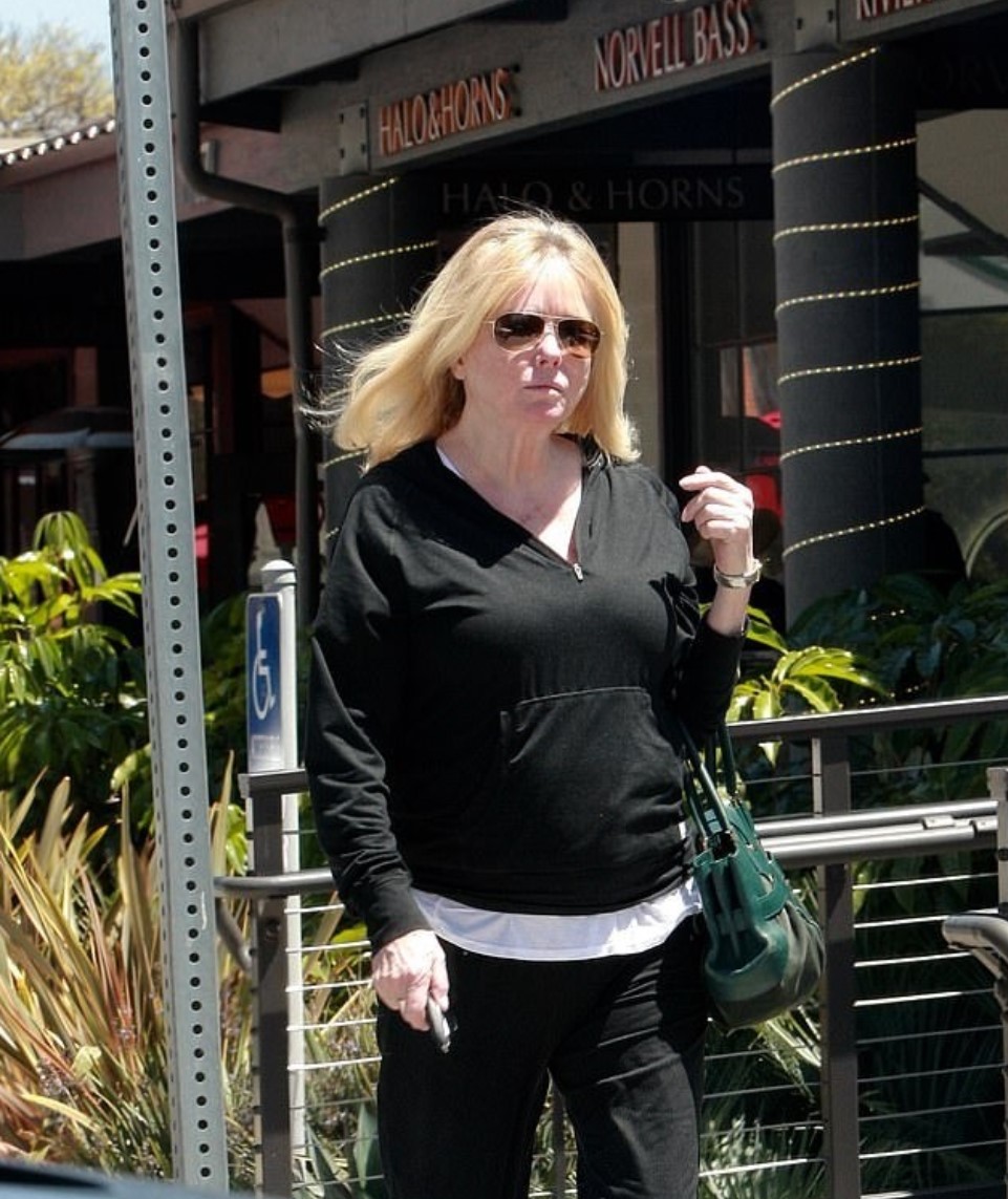 Cheryl Tiegs Today - The former supermodel leads a more private life, seen here enjoying a casual day out in California, embracing her age with grace away from the spotlight.