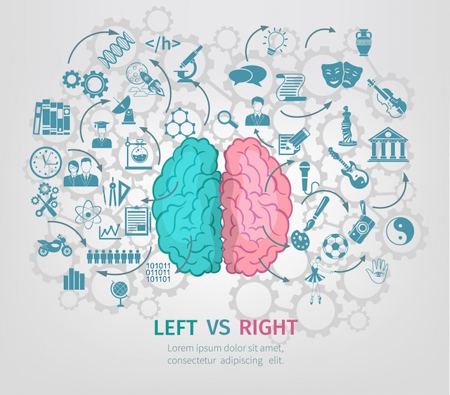 The left brain is often associated with logic and reasoning, while the right brain is linked to creativity and intuition. Which side dominates your thinking?