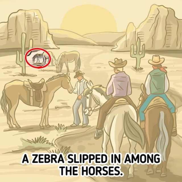 Did you spot it? A zebra has slipped in among the horses, making this a tricky hidden object puzzle!