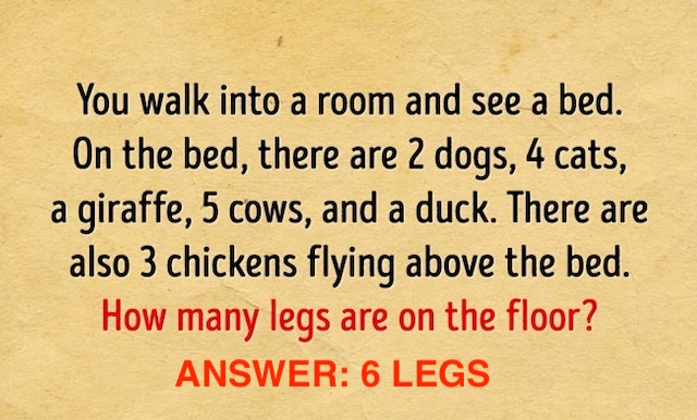 The answer is 6 legs! Did you get it right? Remember, it's just you and the bed on the floor!