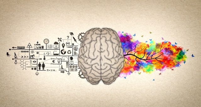 The brain split between analytical thinking and artistic creativity — a visual representation of how both sides contribute to our unique perspective and approach to life