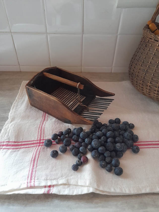 Ready for a fresh batch of blueberries, this tool brings nostalgia and delicious berries all at once