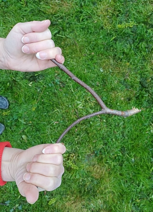 A close-up of a dowser’s hands on a traditional dowsing rod, reminding us of the enduring fascination with ancient methods of locating water