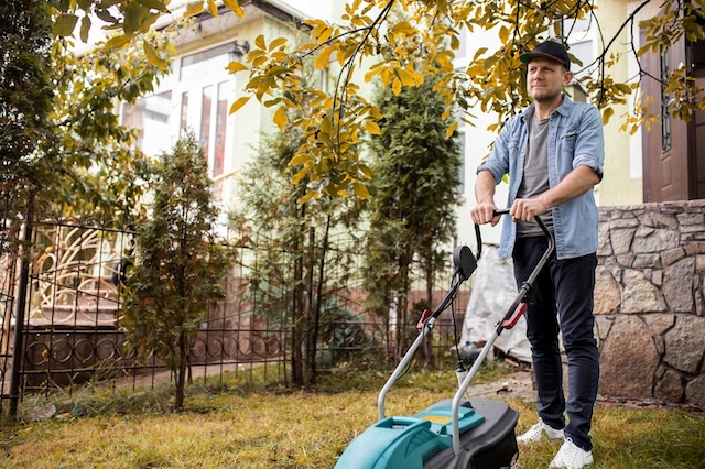 Lawn care and love: this dad shows that a good parent knows when to step in, even if the romantic ties have long been cut