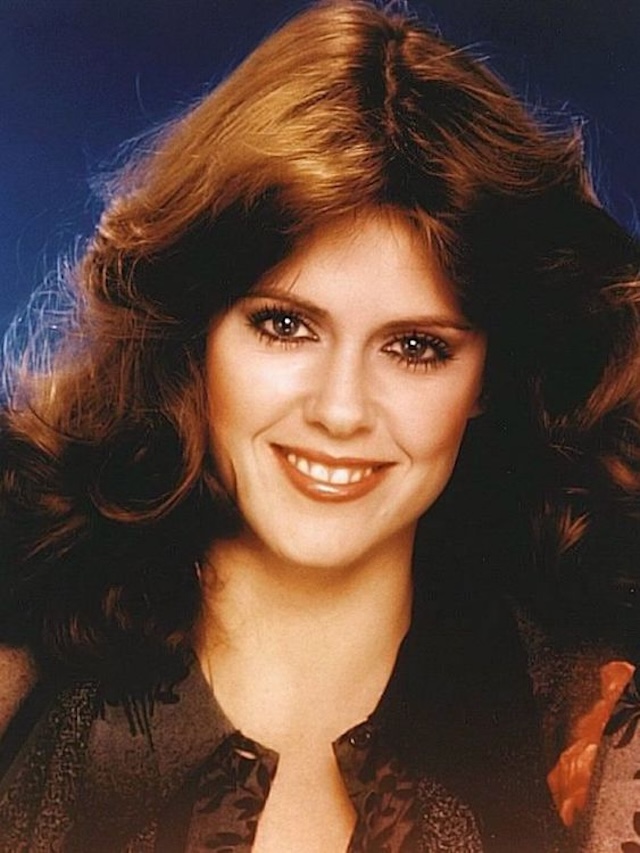 Pam Dawber with her radiant smile and voluminous hair, epitomizing her status as one of television’s beloved stars in the 1970s and 1980s