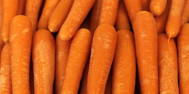 Close-up of the organic carrots affected by the recall due to contamination with Shiga toxin-producing E. coli O121