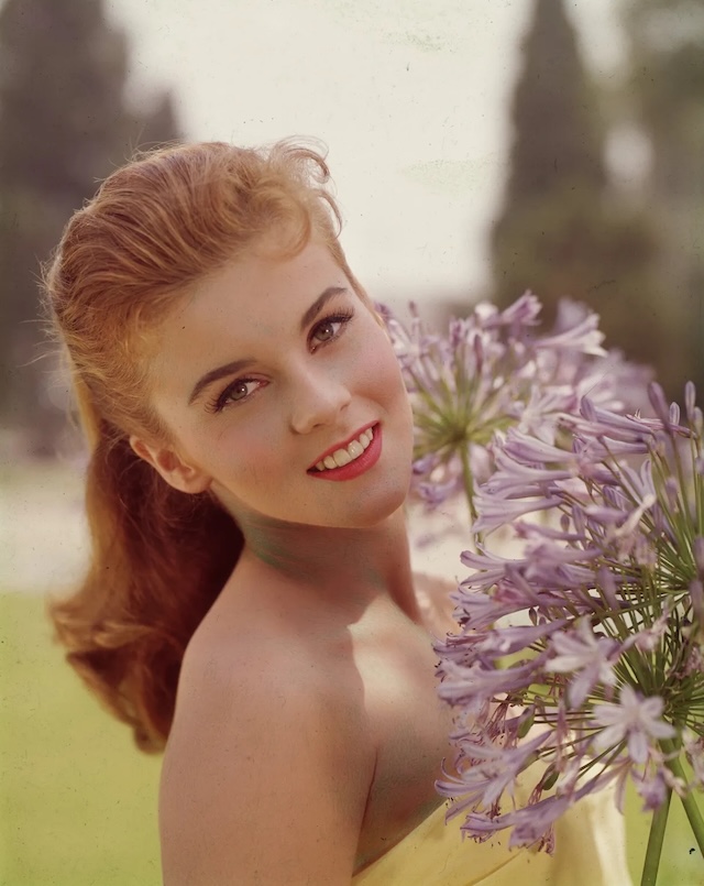 A portrait of the actress, circa 1960