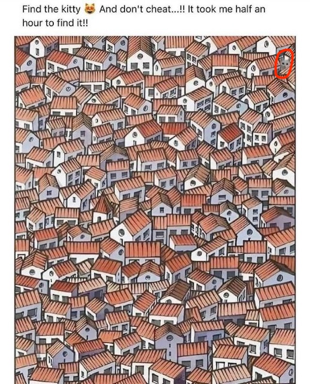 Found it yet? Here’s the hidden kitty, circled in red for those who need a hint!