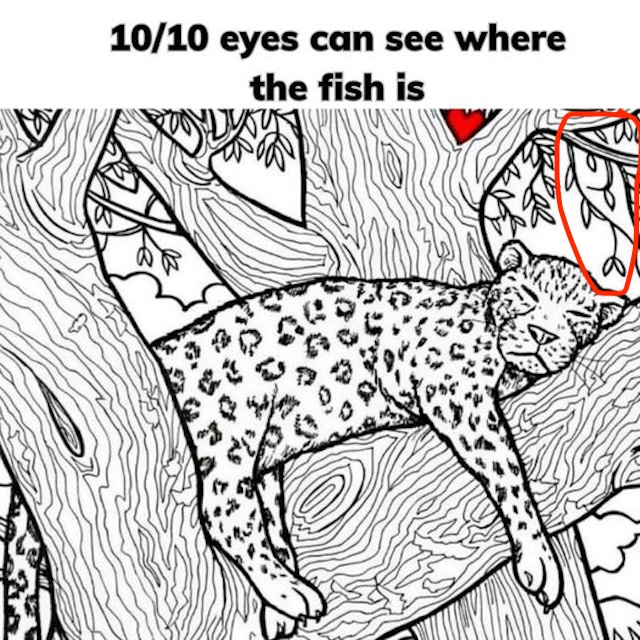 Found it? Here’s the fish, circled in red, cleverly hidden among the branches above the leopard!