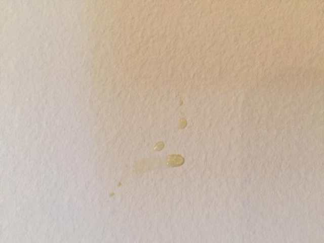 Small isolated yellow droplets on a white wall, likely highlighting the early stages of staining or moisture buildup