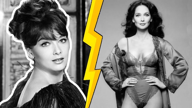 The timeless beauty of Suzanne Pleshette endures through the ages