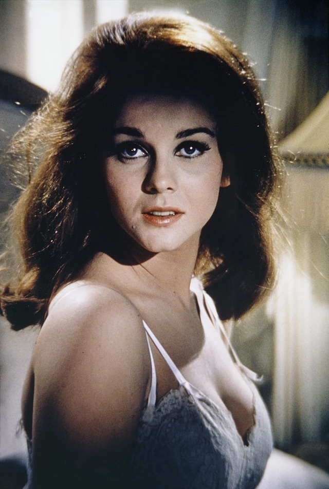 After moving to the United States with her family, Ann-Margret quickly rose to fame and earned the nickname 'Female Elvis