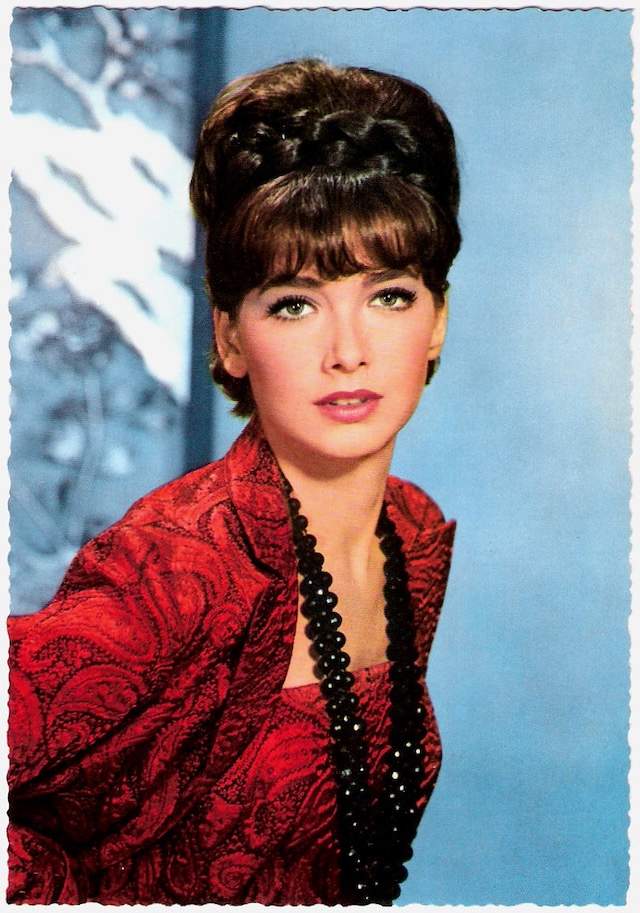 In the 1970s, the icon Suzanne Pleshette dominated American television screens