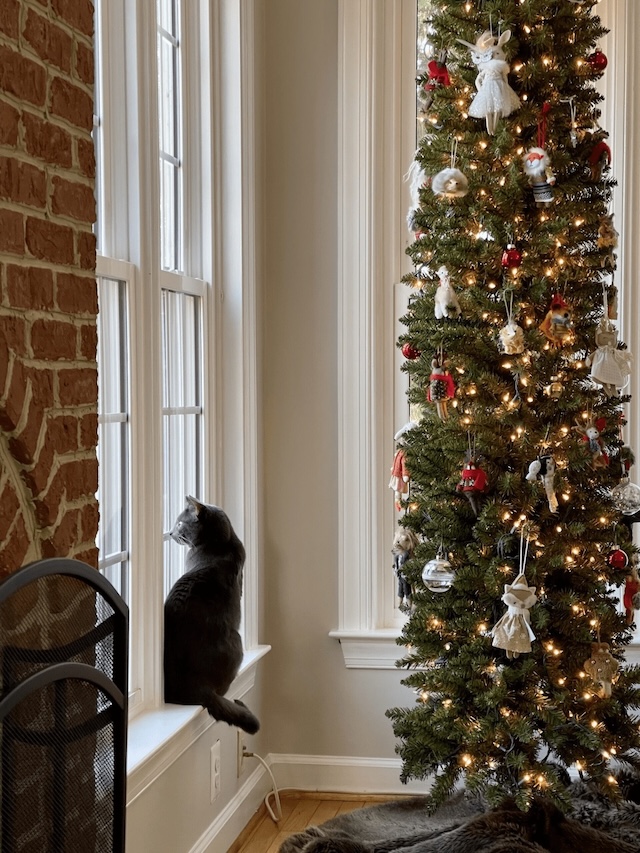 At 70, her Christmas spirit shines as bright as the lights on her perfectly decorated tree. A testament to love, tradition, and resilience