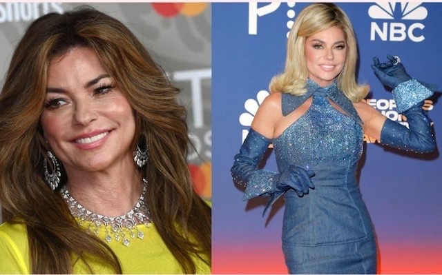 From bold curls and edgy styles (left) to a sleek blonde bob and glamorous denim look (right), Shania has truly evolved in both style and presence