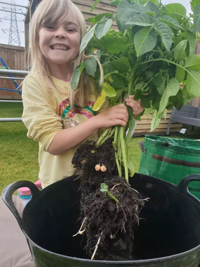 Matilda’s love for the environment shone brightly as she proudly harvested potatoes from her garden, embodying her passion for nature