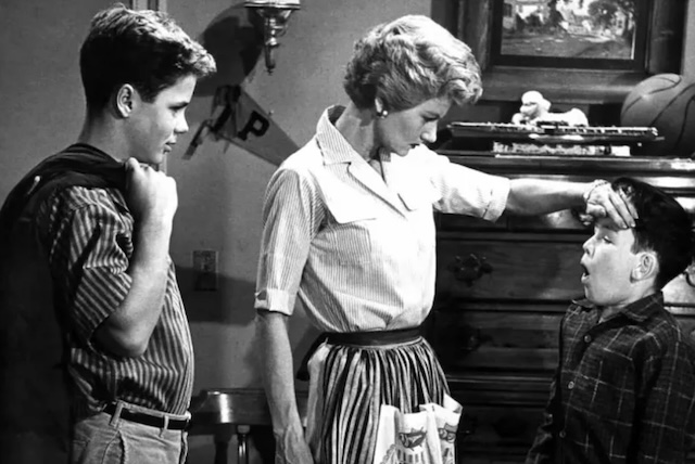 A classic image of Wally and Beaver Cleaver from Leave It to Beaver, showing their strong sibling bond and playful dynamic