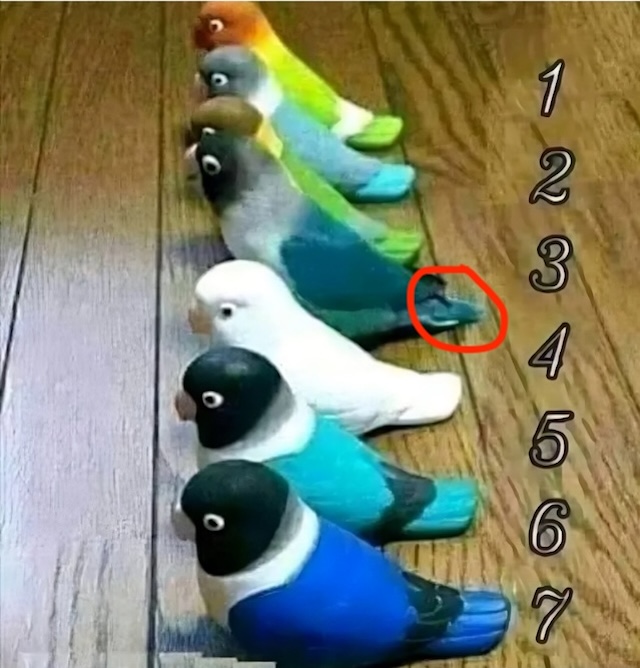 The fourth bird is revealed as the real one—its tail gives it away! Look closely at the circled clue