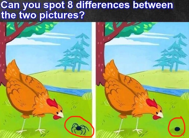 The answer is: In the first image, the spider has 8 legs, while in the second image, it has none! This missing detail is one of the 8 differences between the two pictures