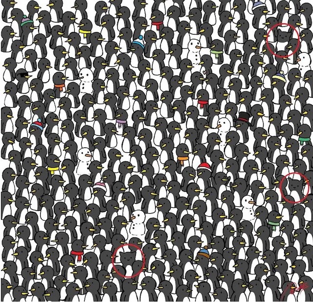 Here's the big reveal! The three cats are circled in the image. These crafty little creatures are hiding right among the penguins. Can you see how well they blend in?