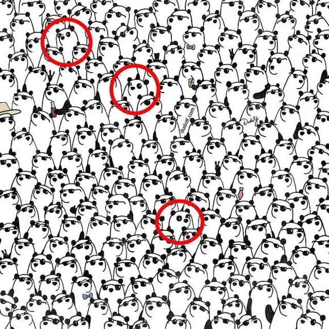 Check out this image for the solution to the puzzle. The pandas without sunglasses are marked, making it easier to spot the difference!