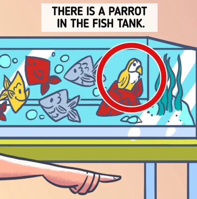 Look closely at the fish tank. The odd one out is revealed—a parrot hiding among the fishes!